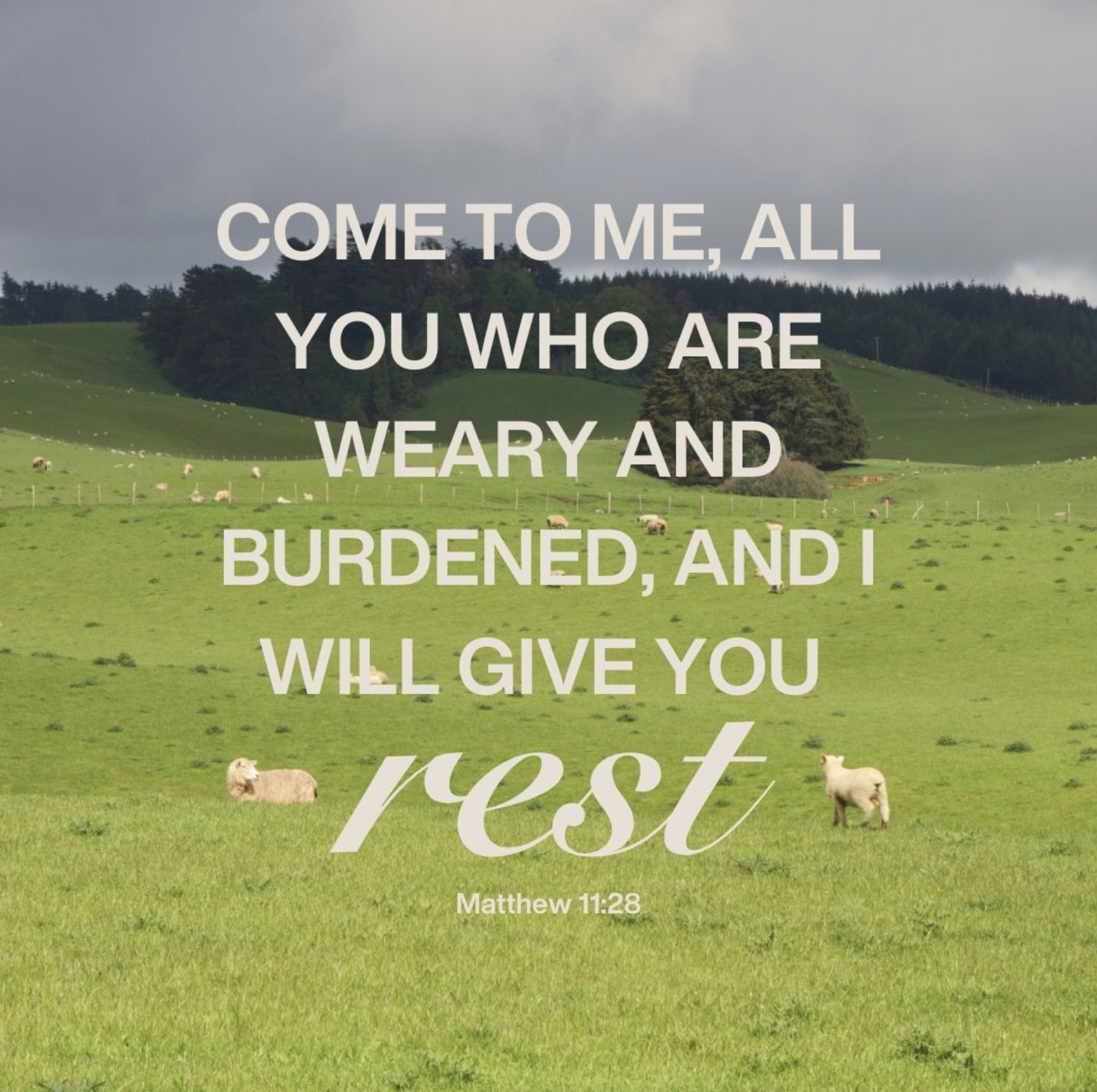 Featured image for “Matthew 11:28”